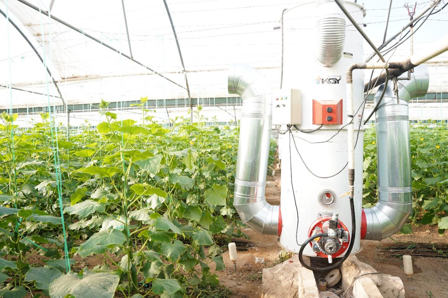 بخاری استاندارد گلخانه سری  ECO کولاک گستر یزد|بخاری، هیتر، شومینه|ارس, |دیوار