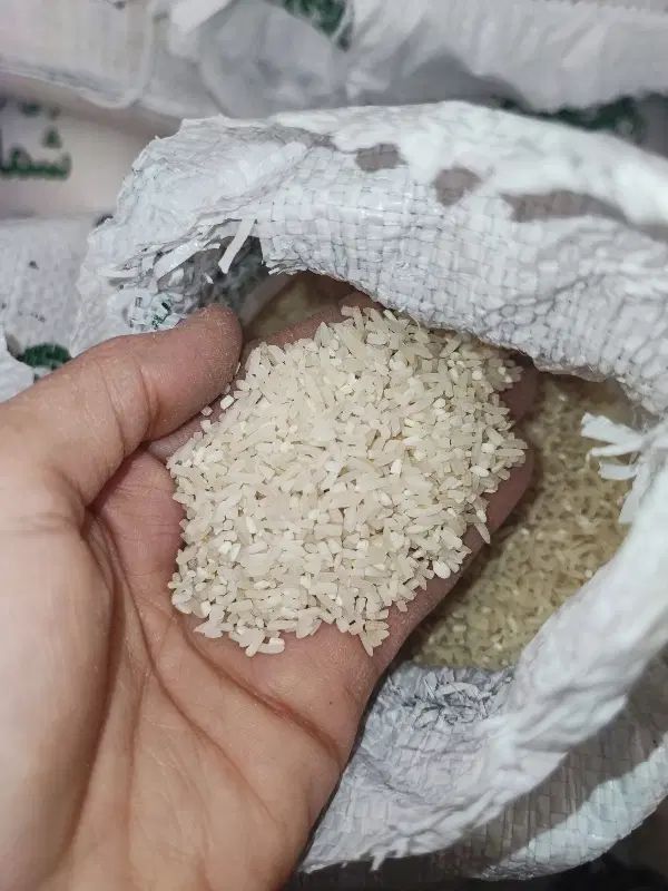 برنج طارم به قیمت  فریدونکنار|حراج|مشهد, پنجتن|دیوار