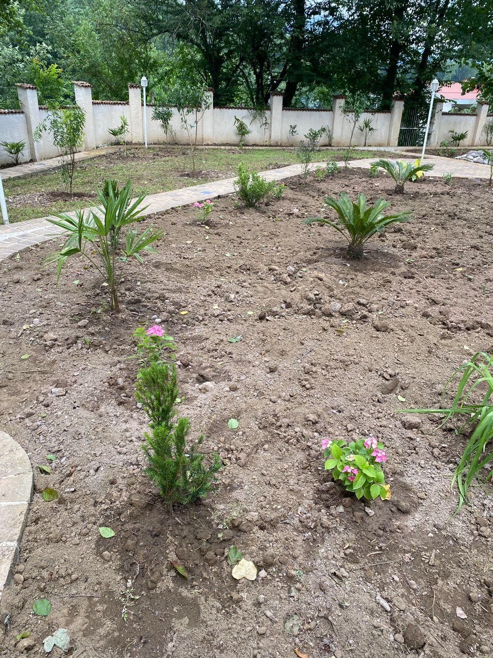فروش زمین ۳۰۰ متری مسکونی بعد از کتشال،سطلسر|فروش زمین و ملک کلنگی|لاهیجان, لیل|دیوار