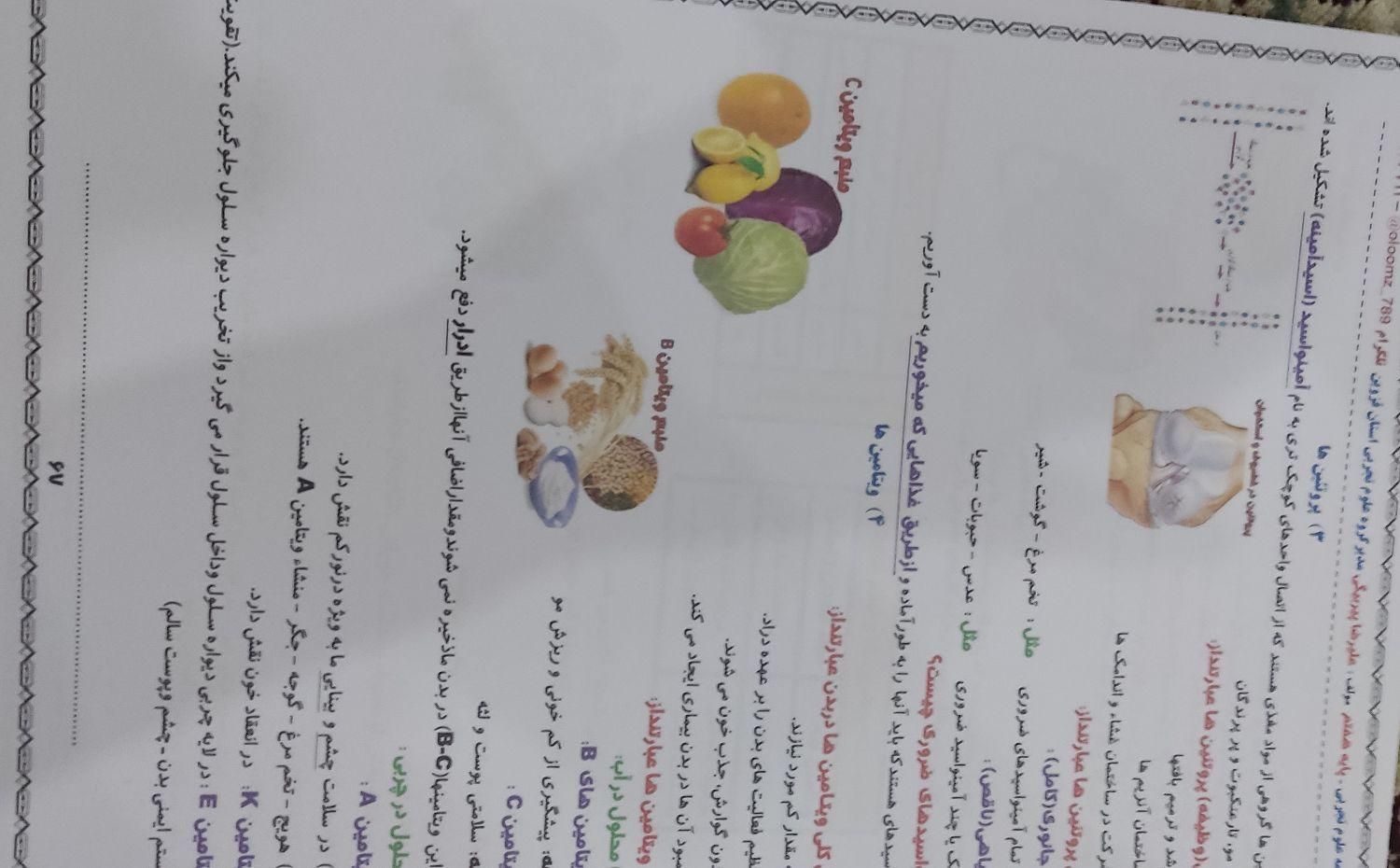 جزوه ریاضی و علوم|کتاب و مجله آموزشی|شیروان (خراسان), |دیوار