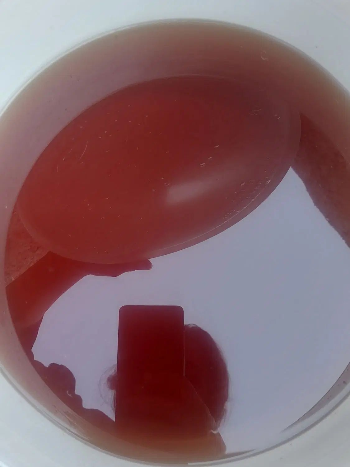 شیره نبات|خوردنی و آشامیدنی|مشهد, شهرک مهر آباد|دیوار