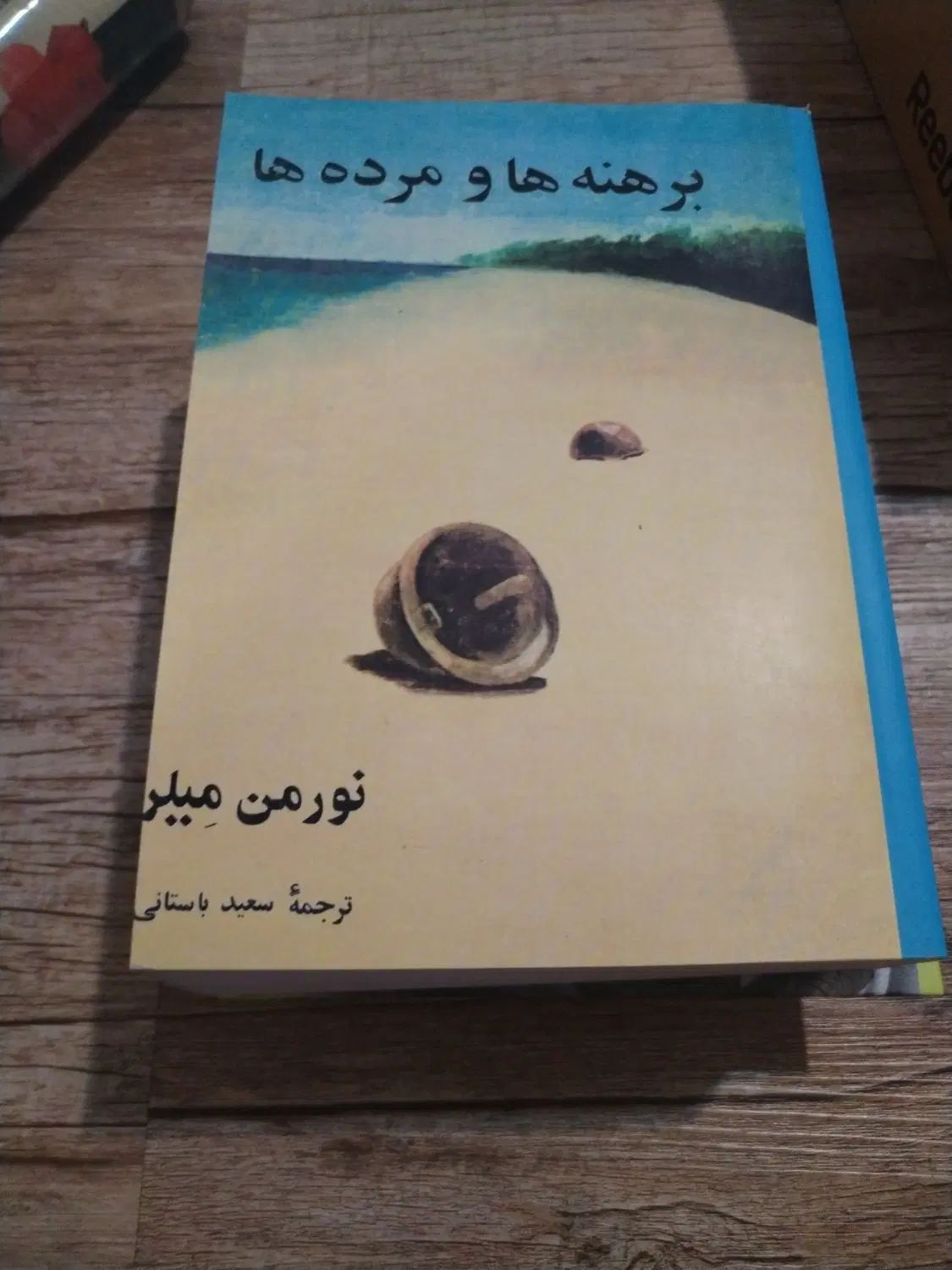 کتابهای جزازکل برهنه هاومرده هاوتاریخ عثمانی|کتاب و مجله ادبی|کرج, شاهین‌ویلا|دیوار