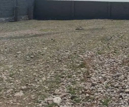 فروش زمین متراژ بزرگ جهت گلخانه ،باغ یا کشاورزی|فروش زمین و ملک کلنگی|بندرعباس, |دیوار