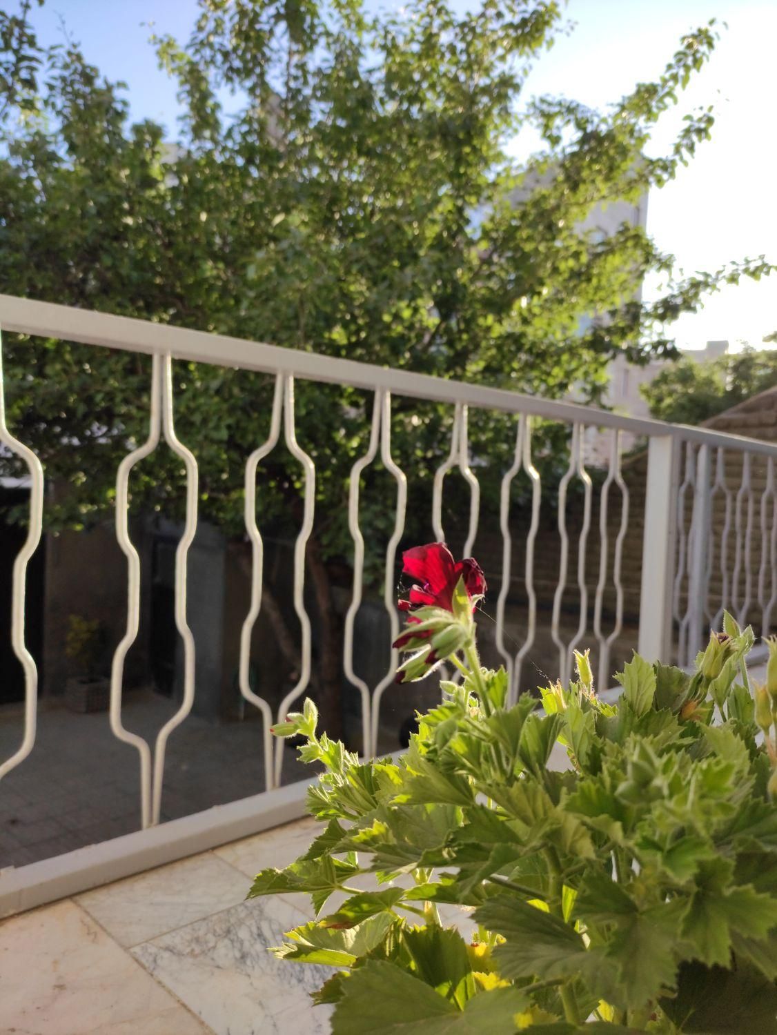 نرده آهنی سالم|مصالح و تجهیزات ساختمان|اردبیل, |دیوار