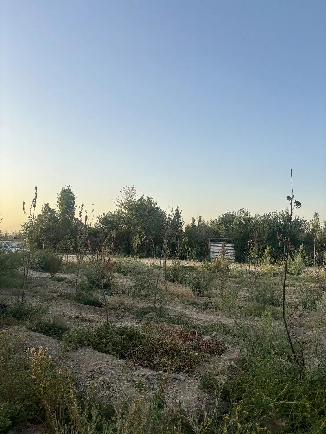 ۶۰۰متر باغچه فیروز بهرام چسب جاده اصلی|فروش زمین و ملک کلنگی|تهران, خلیج فارس|دیوار