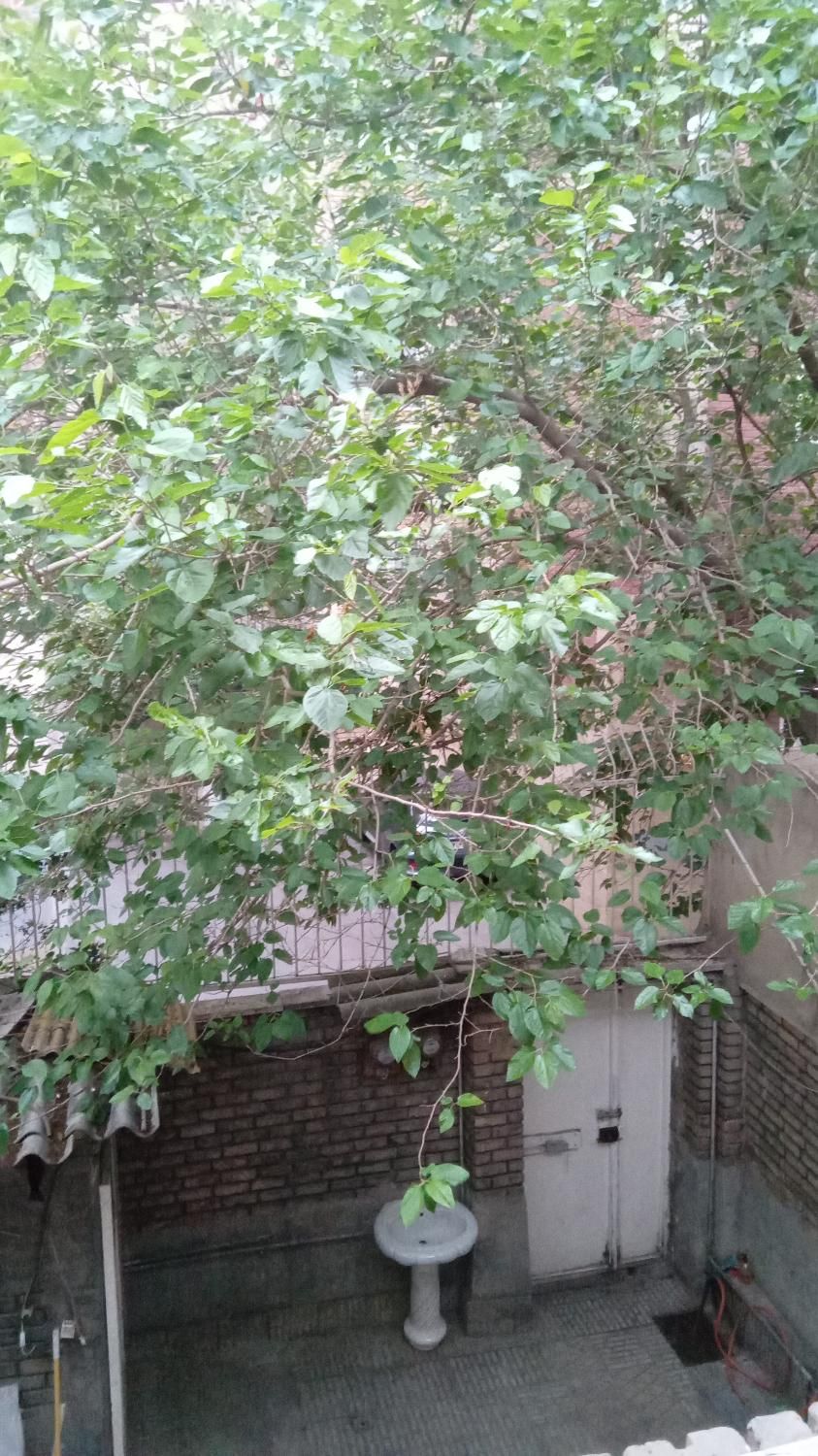 واحدهای دربست خانوادگی پارکینگ تکواحد تمیز|اجارهٔ کوتاه‌مدت آپارتمان و سوئیت|تهران, نظام‌آباد|دیوار