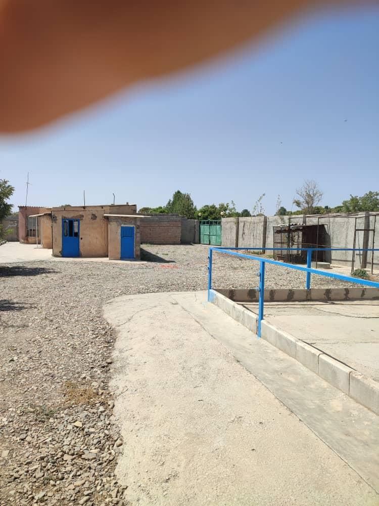 گاوداری۲۵۰۰متری بامجوز۵۰راسی احمدآبادمصدق|فروش دفتر صنعتی، کشاورزی، تجاری|آبیک, |دیوار