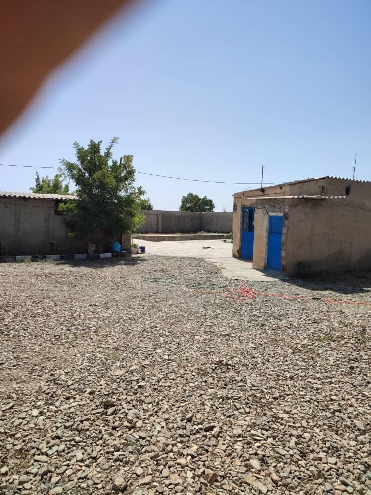 گاوداری۲۵۰۰متری بامجوز۵۰راسی احمدآبادمصدق|فروش دفتر صنعتی، کشاورزی، تجاری|آبیک, |دیوار