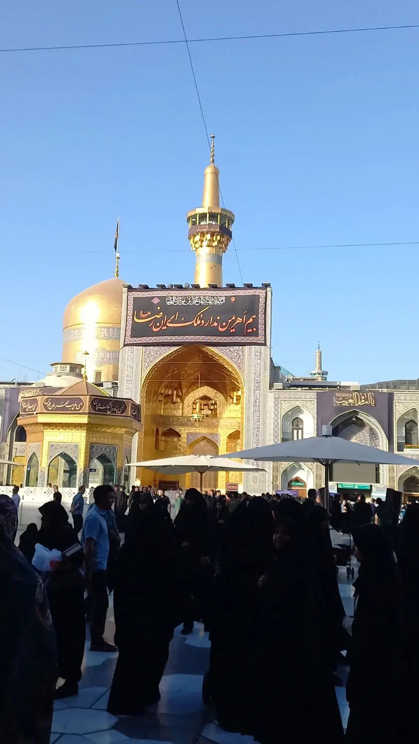 تورارزان مشهد ۲۹۰۰ تورکربلایک سرهوایی ۹۵۰۰|تور و چارتر|تهران, افسریه شمالی|دیوار