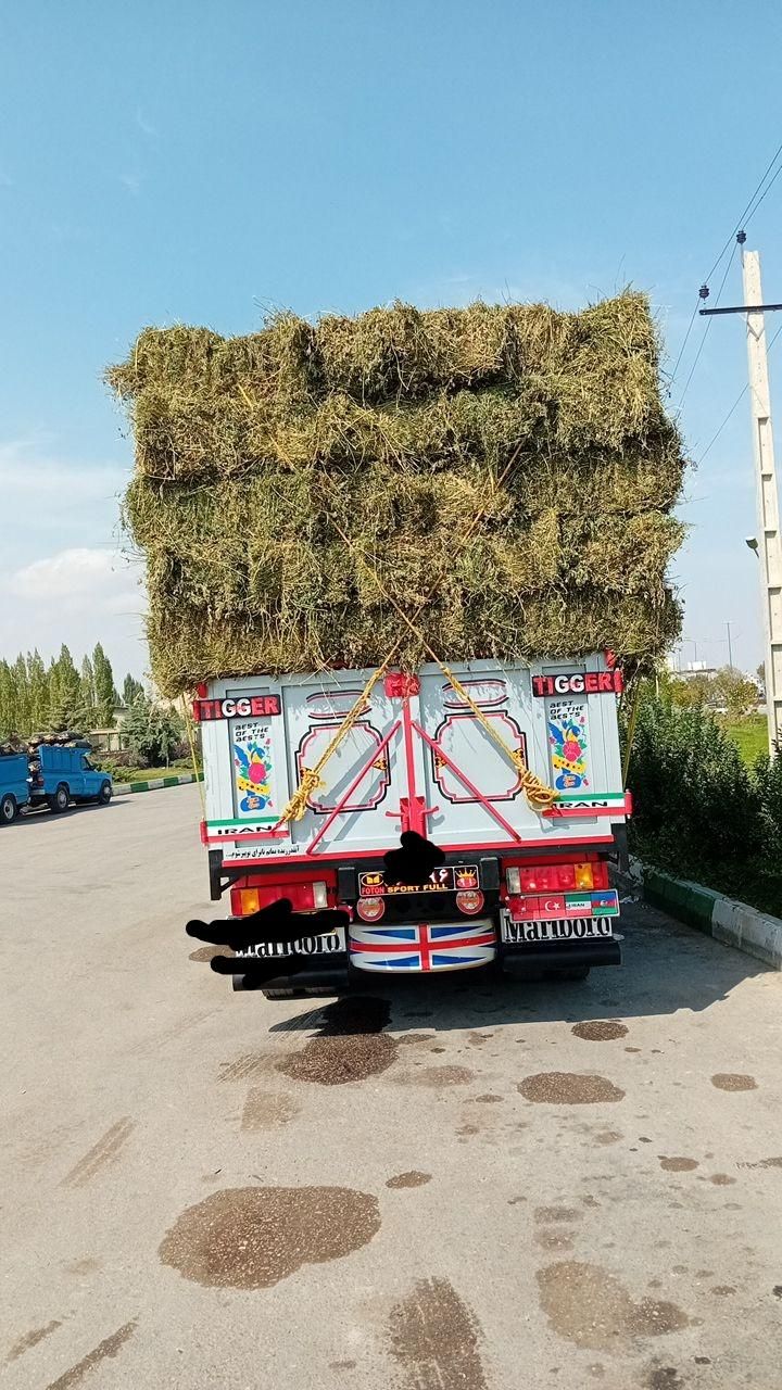 کاه گندوم.|لوازم جانبی حیوانات|اردبیل, |دیوار