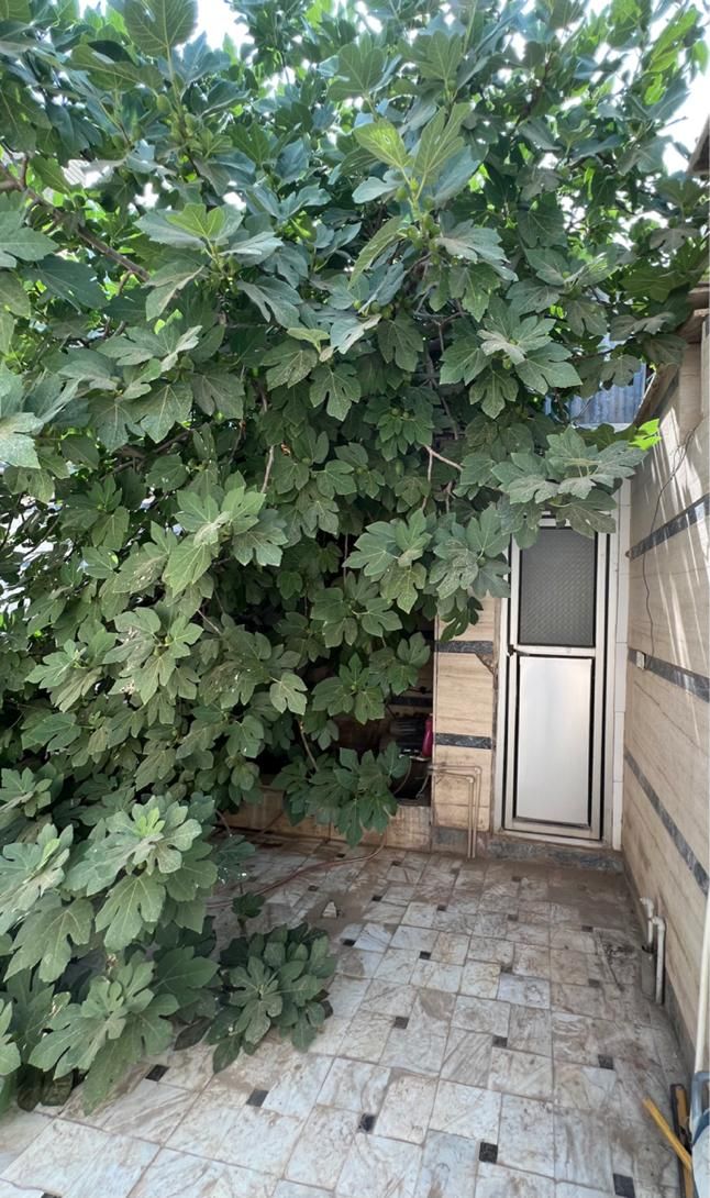 فروش خانه ویلایی ۱۵۰ متری ۲ خوابه در هفت تیر|فروش خانه و ویلا|قم, هفت تیر|دیوار