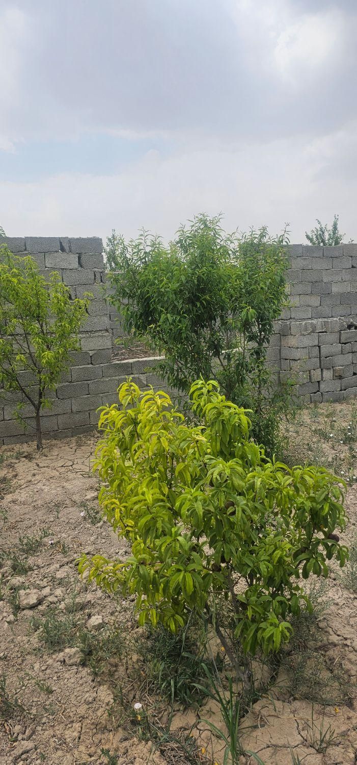 باغچه آماده ویلا سازی لوکیشن سرسبز|فروش دفتر صنعتی، کشاورزی، تجاری|تهران, فرودگاه مهرآباد|دیوار