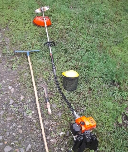 هرس کردن علف و باغ ملک ...|خدمات باغبانی و درختکاری|سنگر, |دیوار