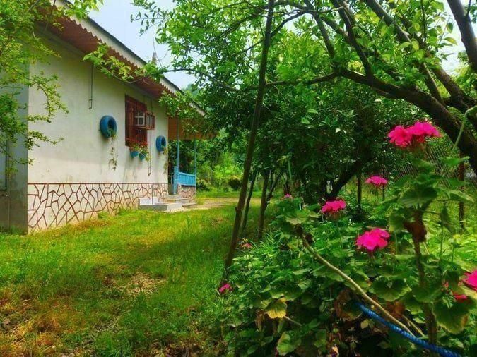 570 متر خانه روستایی در محلات سوادکوه|فروش خانه و ویلا|زیرآب, |دیوار