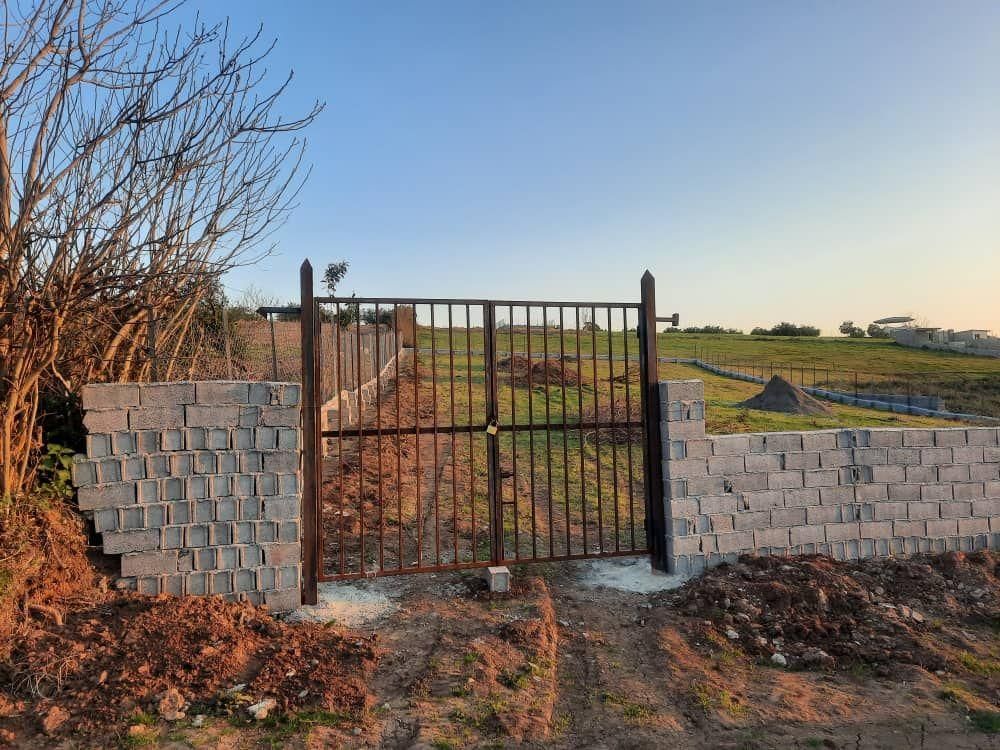 فروش زمین کشاورزی ۲۵۰ متر، پرچیکلا ساری|فروش زمین و ملک کلنگی|ساری, |دیوار