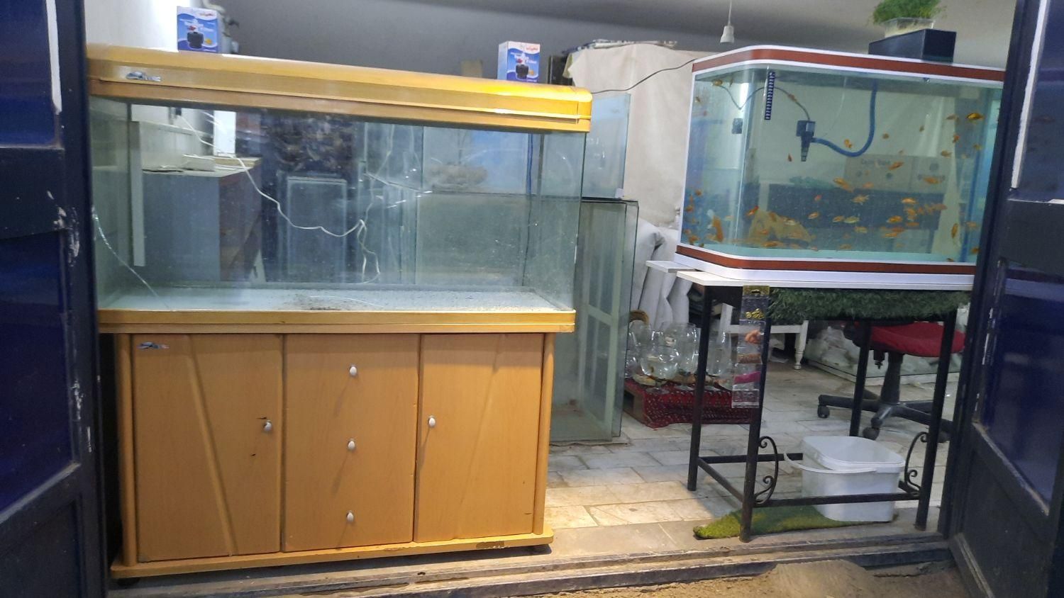 آکواریوم های کوچکتر از ۱ متر یا حدود ۱ متر متنوع|ماهی|قم, سراجه (۱۵ خرداد)|دیوار