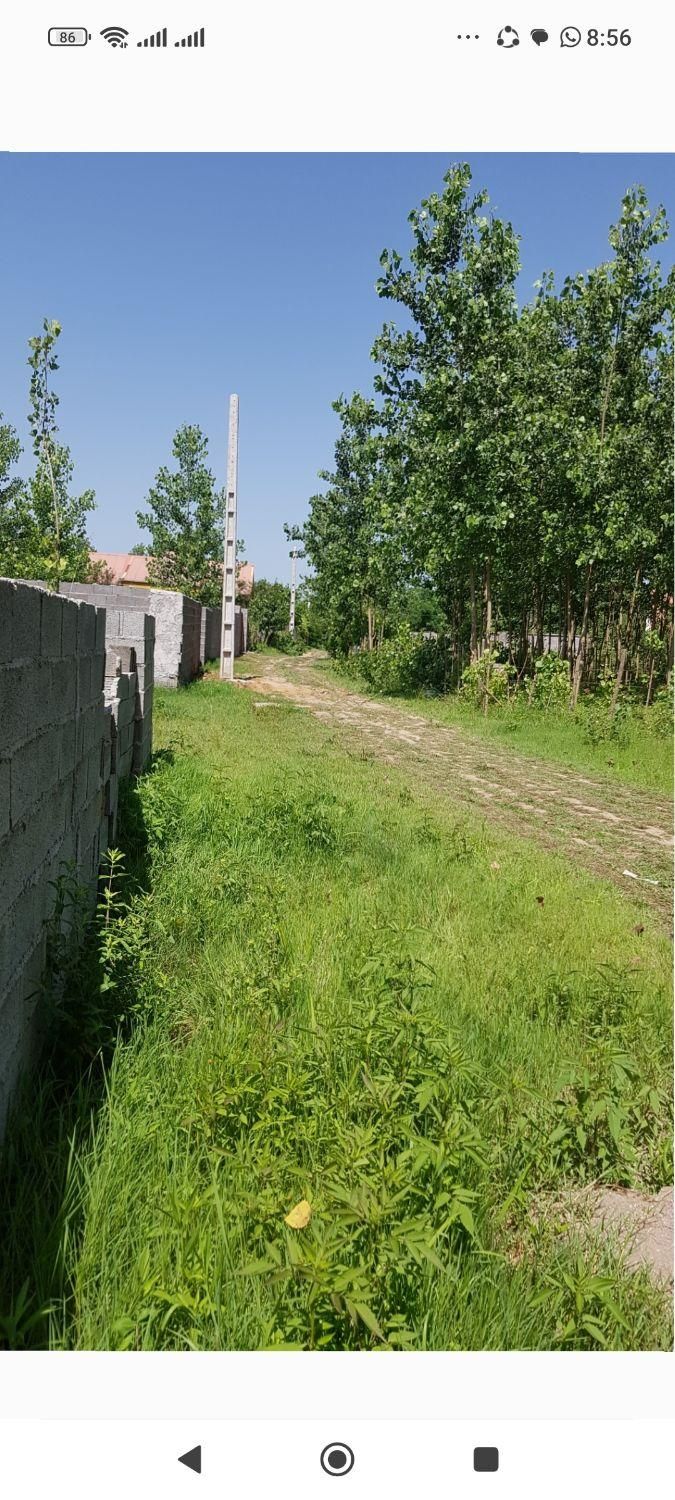 فروش زمین ۱۵۰۰ متری واقع درروستای نوخاله جعفری|فروش زمین و ملک کلنگی|تولم شهر, |دیوار