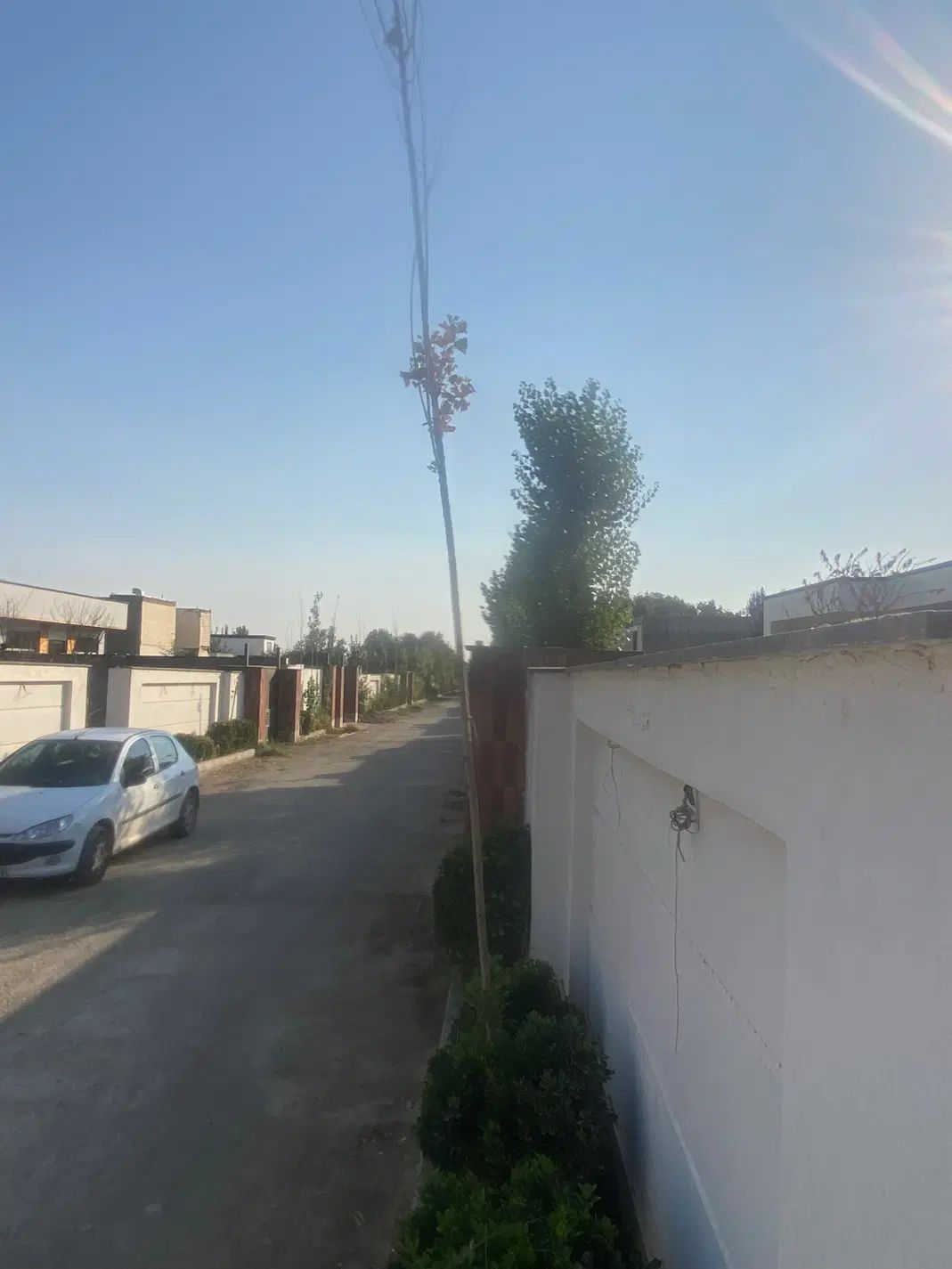 فروش باغ ۴۳۰ متری در تهران دشت اب برق گاز|فروش زمین و ملک کلنگی|هشتگرد, تهران دشت|دیوار