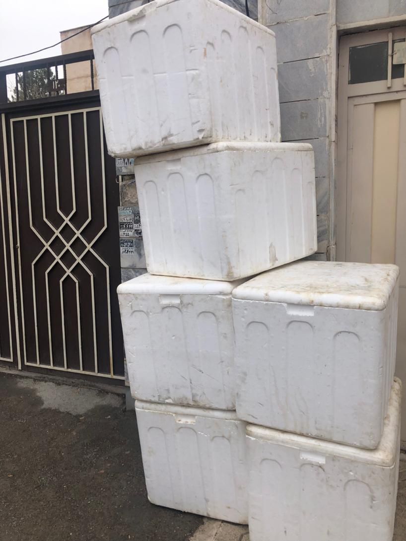 آکاستیو(یخدان) بزرگ|ظروف نگهدارنده، پلاستیکی، یکبارمصرف|مشهد, محمدآباد|دیوار