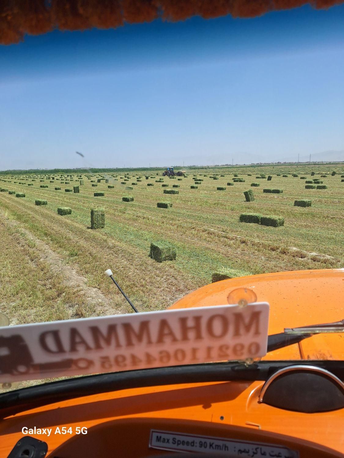 فروش یونجه بسته بندی انباری|لوازم جانبی حیوانات|مرودشت, کناره|دیوار