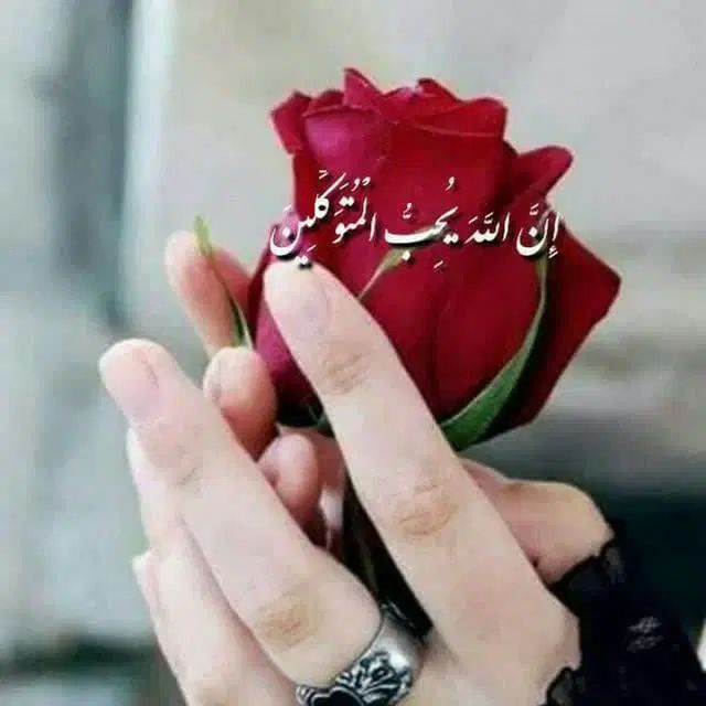 ساختمان مسکونی ۹۰متری دو خوابه همکف تازه ساخت|اجارهٔ آپارتمان|نورآباد, |دیوار