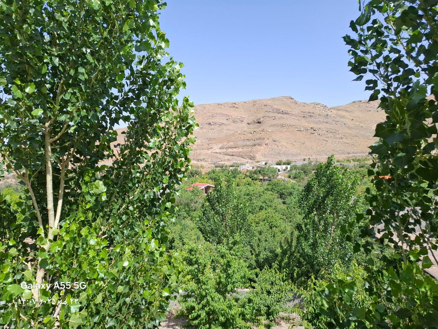 ۱۵۰۰ متر زمین باغی سنددار روستای سرسبز عارفی|فروش زمین و ملک کلنگی|ملک‌آباد, |دیوار