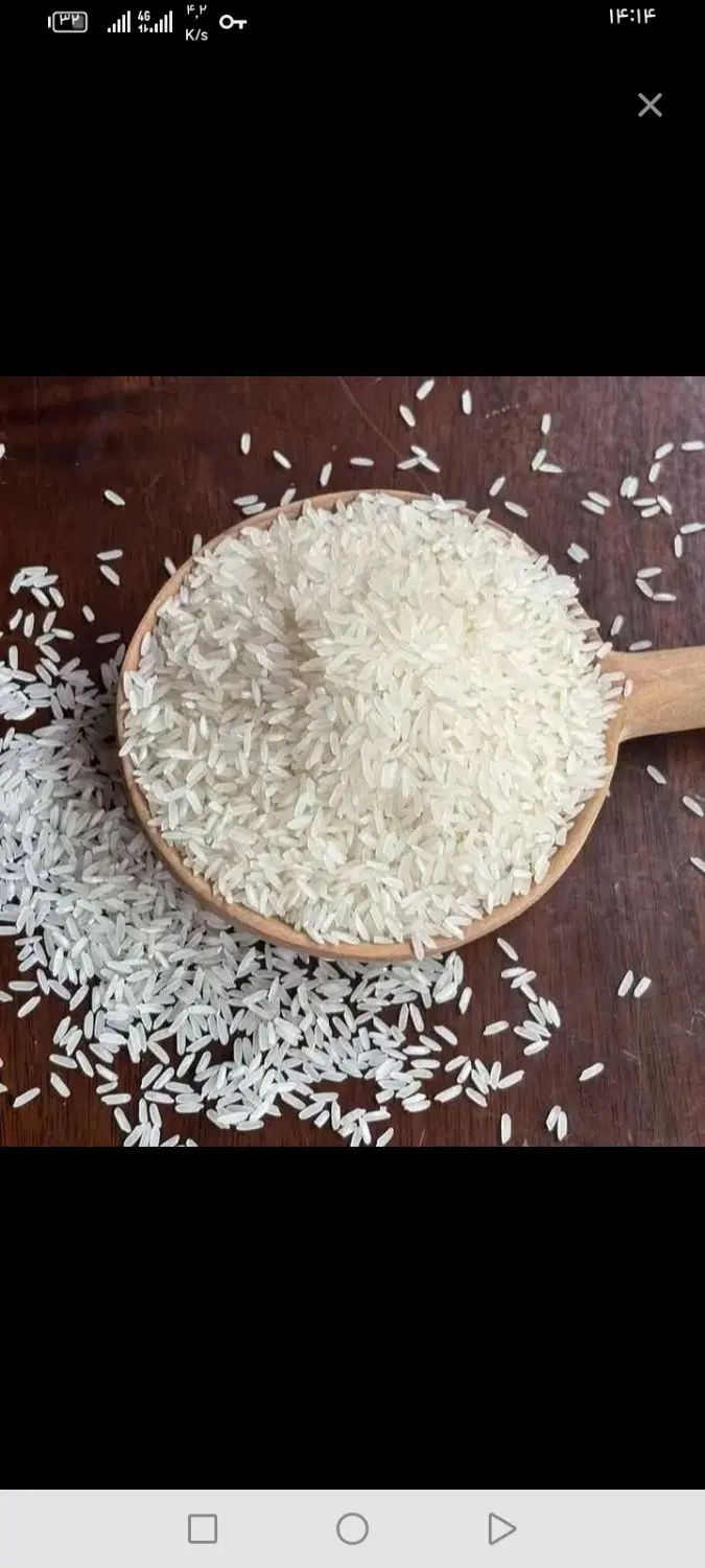 برنج طارم محلی بابل|خوردنی و آشامیدنی|تهران, قلهک|دیوار