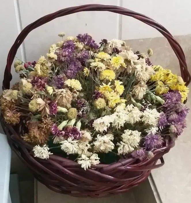 حدود ۲۰ عدد سبد خالی گل از سایز گوچک تا بزرگ|صنایع دستی و سایر لوازم تزئینی|تهران, شهرک غرب|دیوار