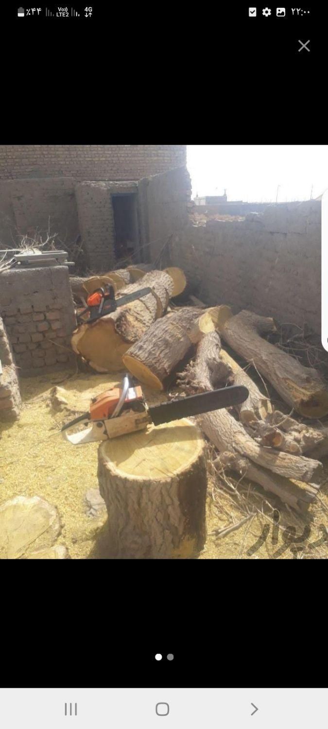 خریدچوب وکنده درخت وچوب سقفی و ریشه|خدمات باغبانی و درختکاری|نیشابور, باغرود|دیوار