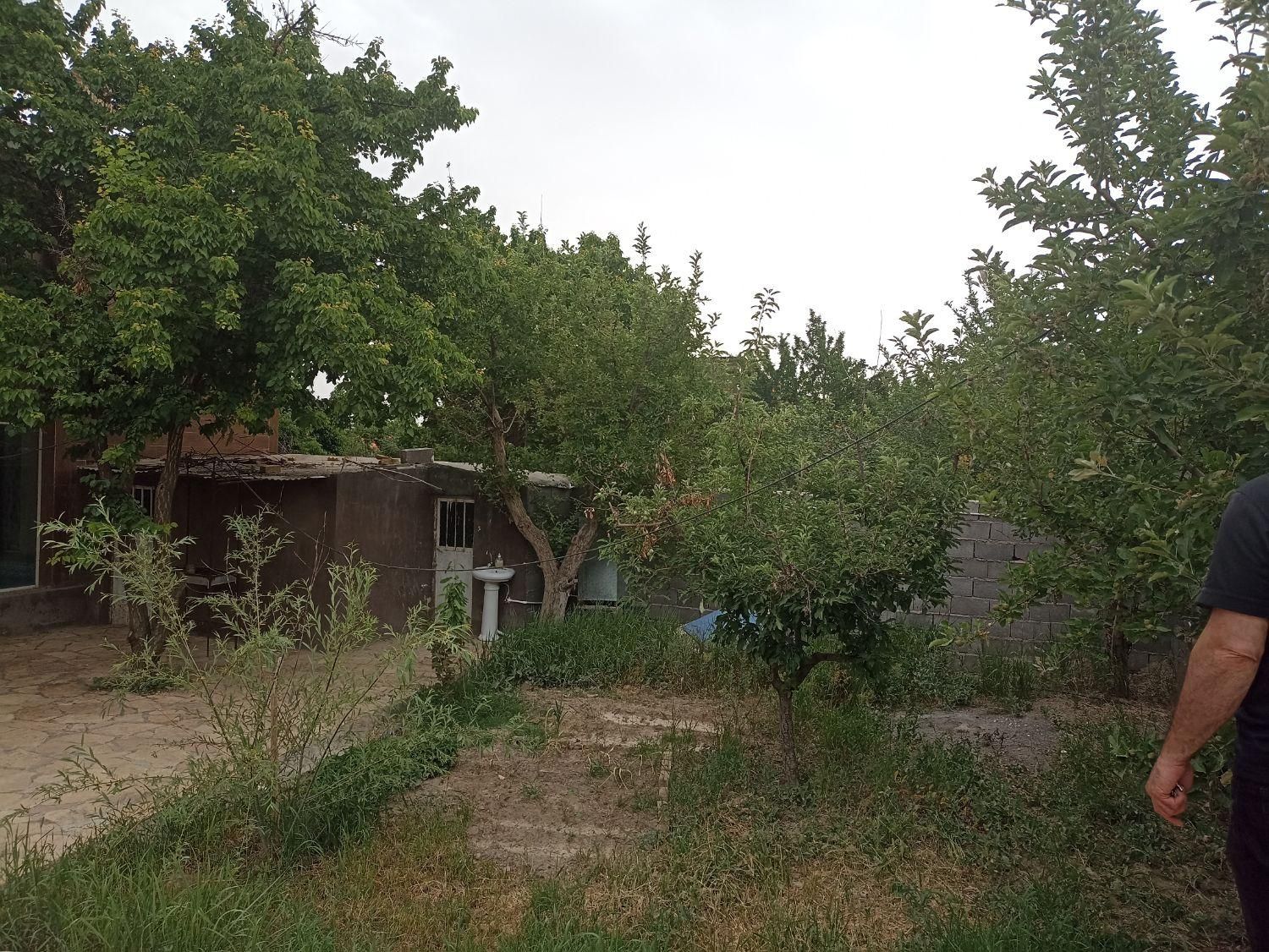 فروش باغ در روستای عارفی|فروش خانه و ویلا|مشهد, طرق|دیوار
