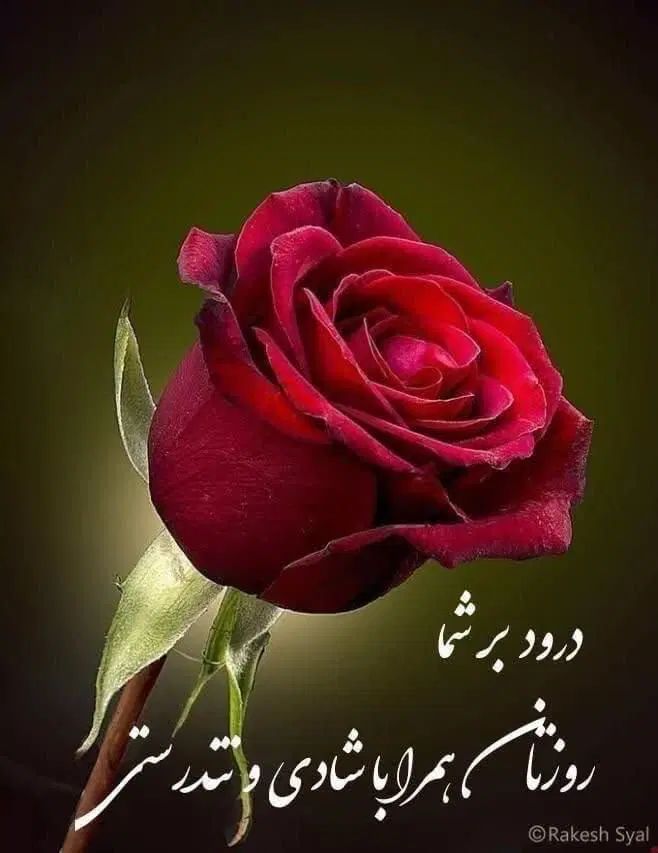 نیاز به نیروی کار،اتباع یا ایرانی خانم یا اقا|استخدام اداری و مدیریت|گرمسار, |دیوار
