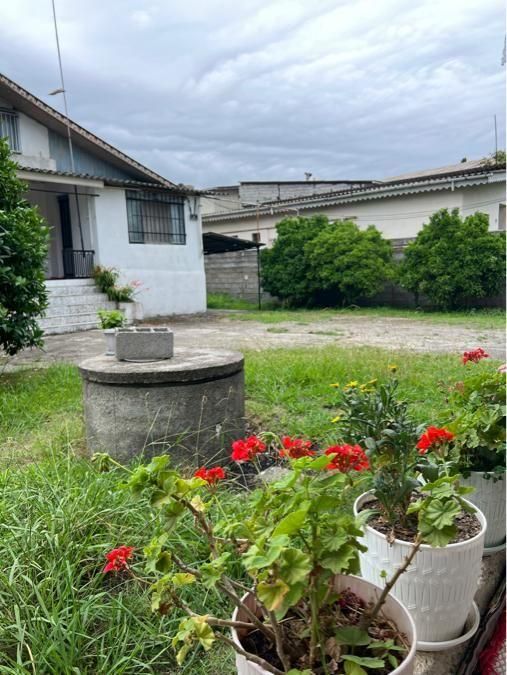 فروش ۹۰۰ مترمربع باغ ویلا با ۲ ساختمان مجزا|فروش خانه و ویلا|رامسر, |دیوار