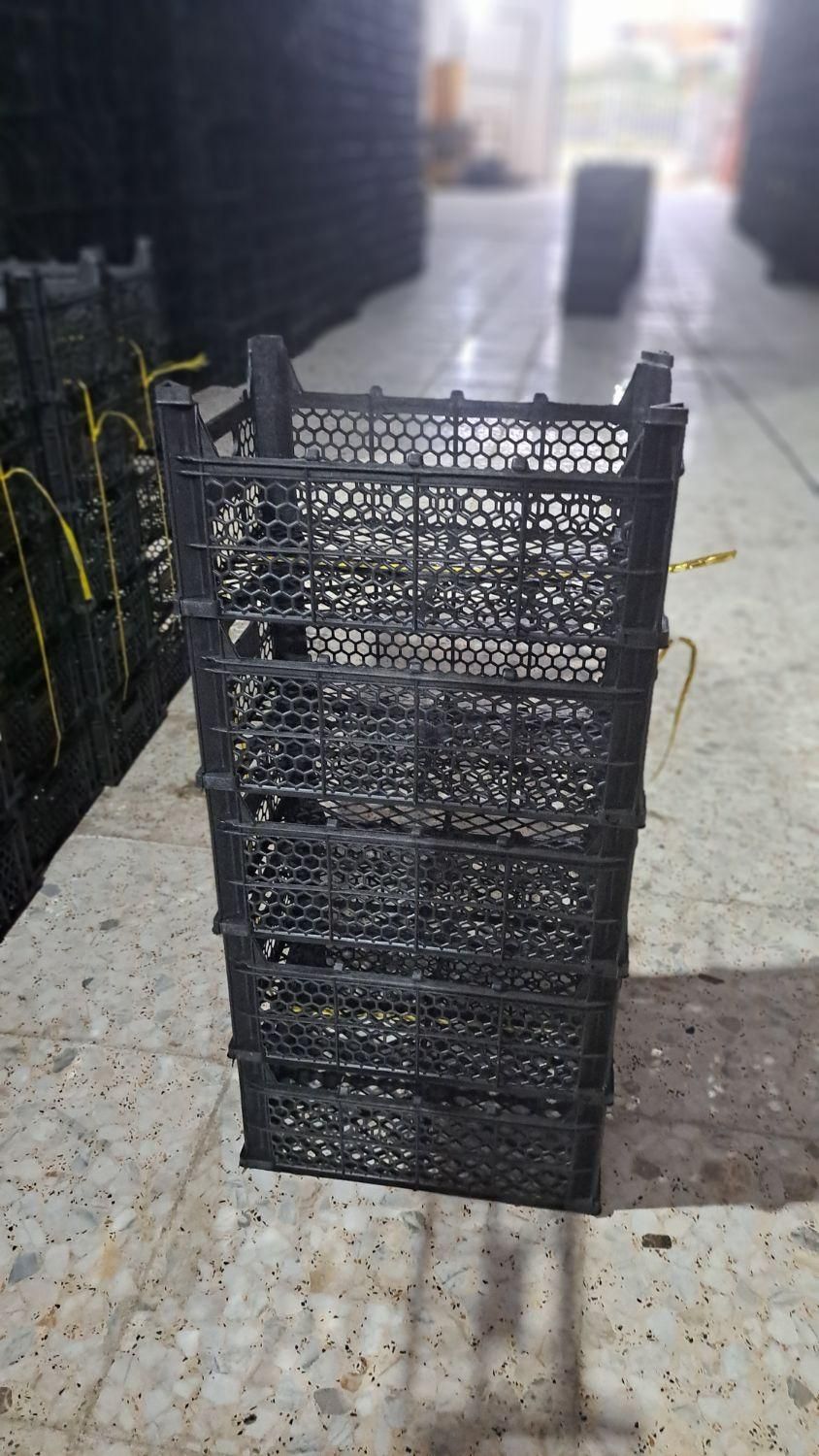 فروش انواع سبدهای کیوی و پرتقال|عمدهفروشی|سلمانشهر, |دیوار