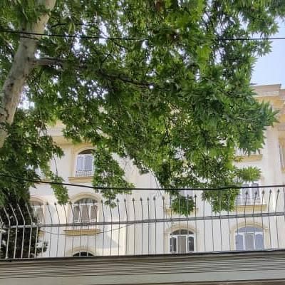 فروش کلنگی ۲۵۰ متری دیباجی شمالی  فرمانیه|فروش زمین و ملک کلنگی|تهران, اختیاریه|دیوار