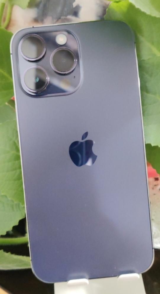 اپل iphone 14 Pro Max با حافظهٔ ۲۵۶ گیگابایت|موبایل|پیرانشهر, |دیوار