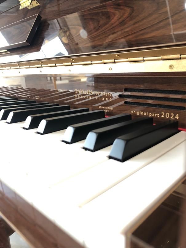 پیانو یاماها طرح اکوستیک p145 pro|پیانو، کیبورد، آکاردئون|شیراز, رازی|دیوار