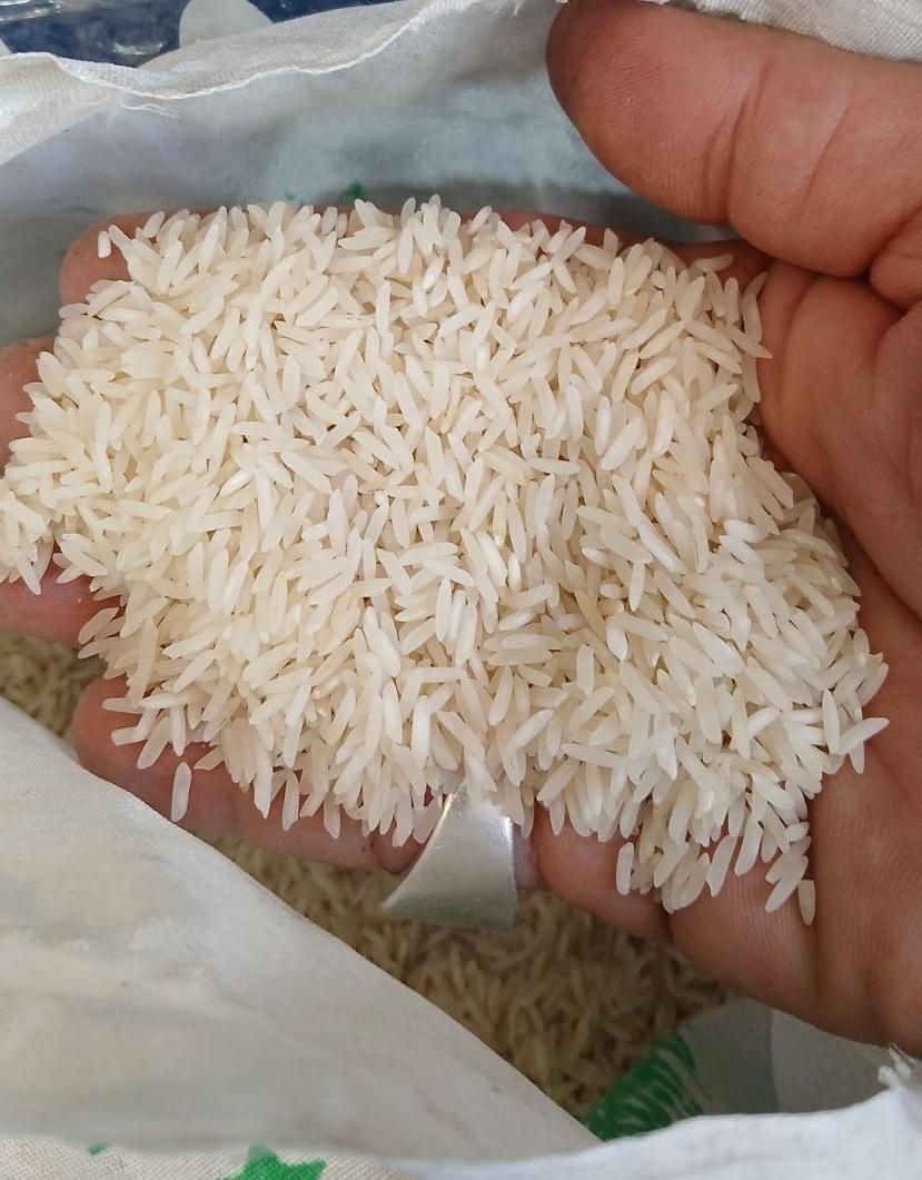 برنج خوشپخت گیلان|خوردنی و آشامیدنی|تهران, امامزاده حسن(ع)|دیوار