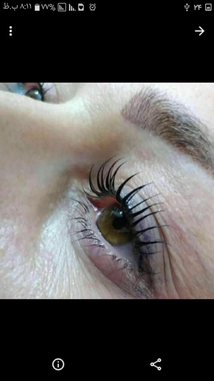 پاکسازی لیفت لمینت ابرو مژه وکس اصلاح گاشت ناخن|خدمات آرایشگری و زیبایی|زنجان, |دیوار