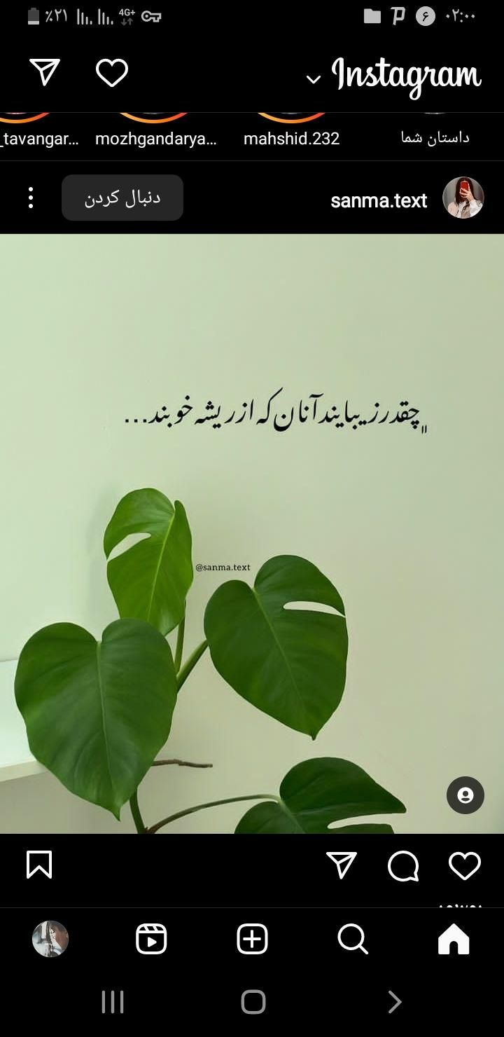 مدل|خوردنی و آشامیدنی|سیرجان, |دیوار