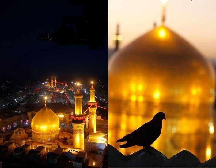 تور های زیارتی مشهد مقدس و کربلا معلی|تور و چارتر|تهران, اباذر|دیوار