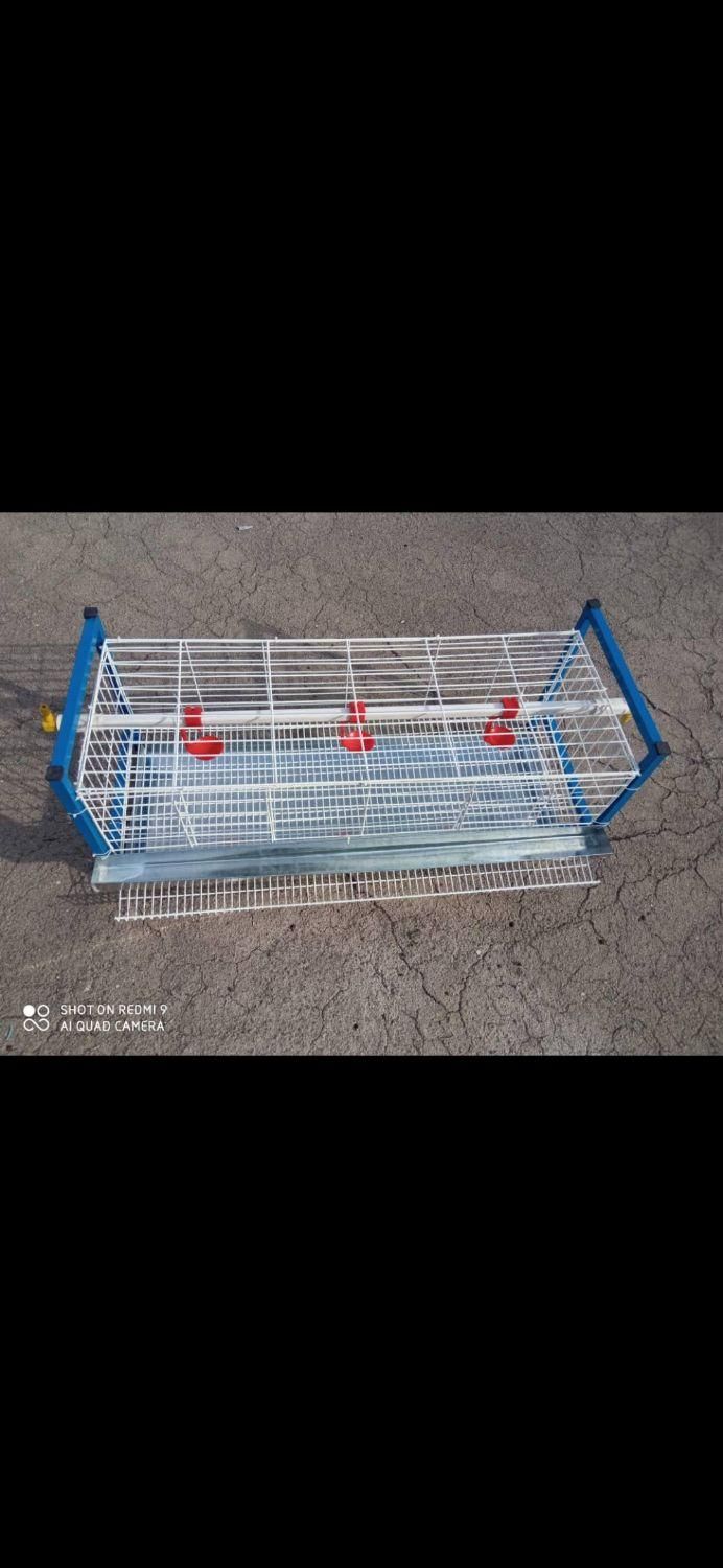 قفس مرغ تخمگذار ،قفس بلدرچین ،کبک|لوازم جانبی حیوانات|قم, نیروگاه|دیوار