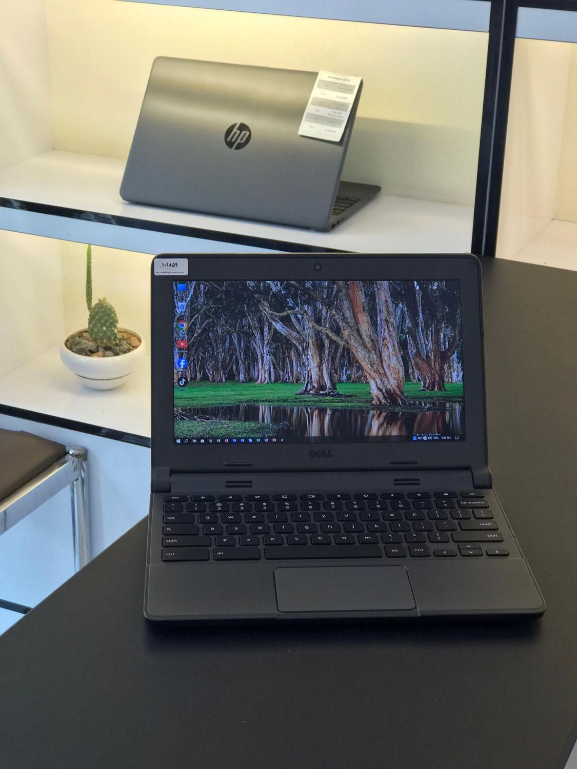 لپ تاپ Dell Chromebook|رایانه همراه|همدان, |دیوار