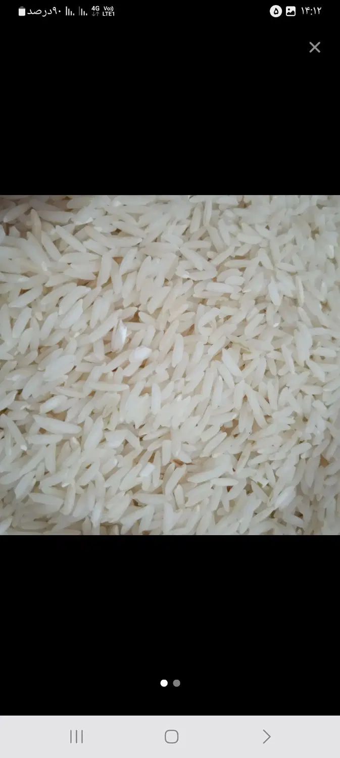 برنج هاشمی ارگانیک الک شده درجه یک|خوردنی و آشامیدنی|رشت, کوی حسینی|دیوار