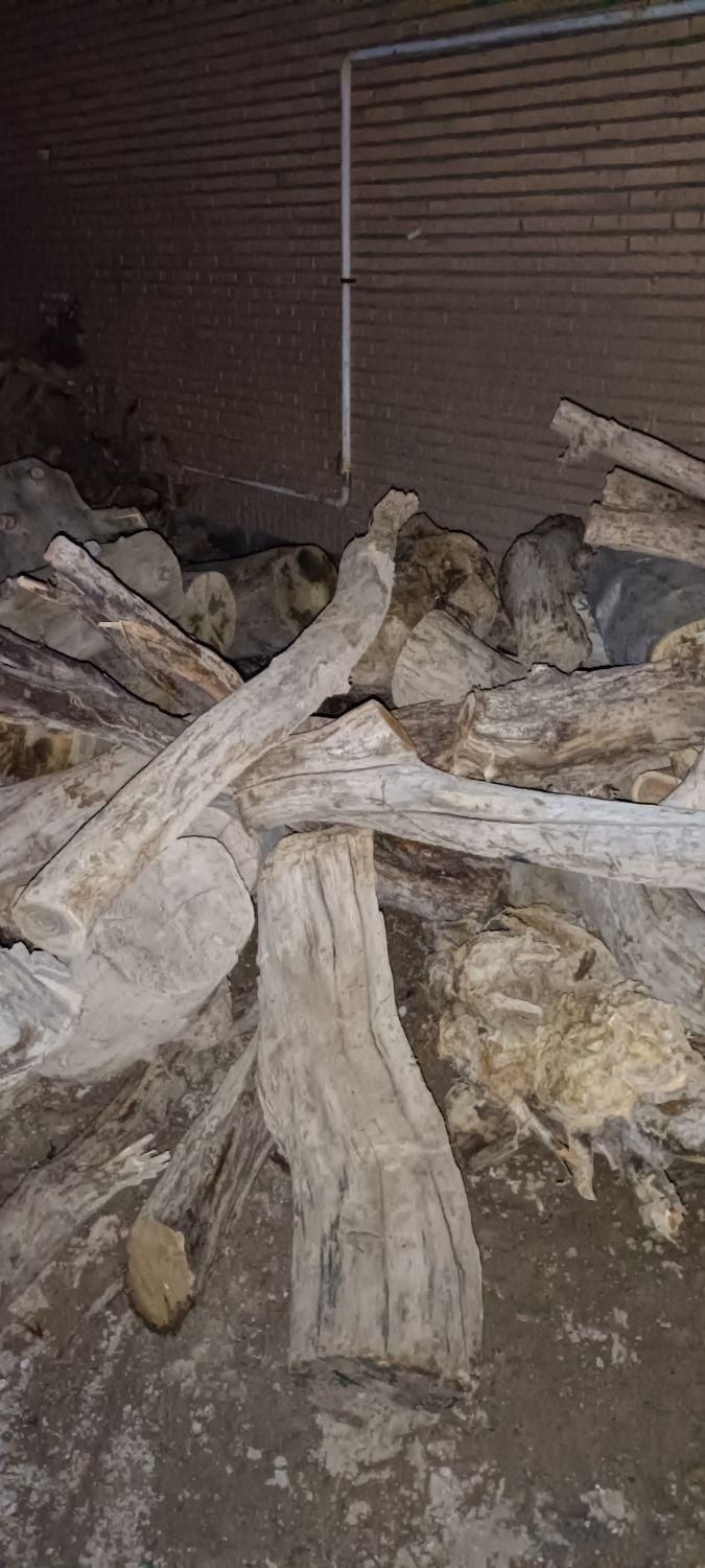 خریدار چوب باغی|خدمات باغبانی و درختکاری|بیرجند, |دیوار