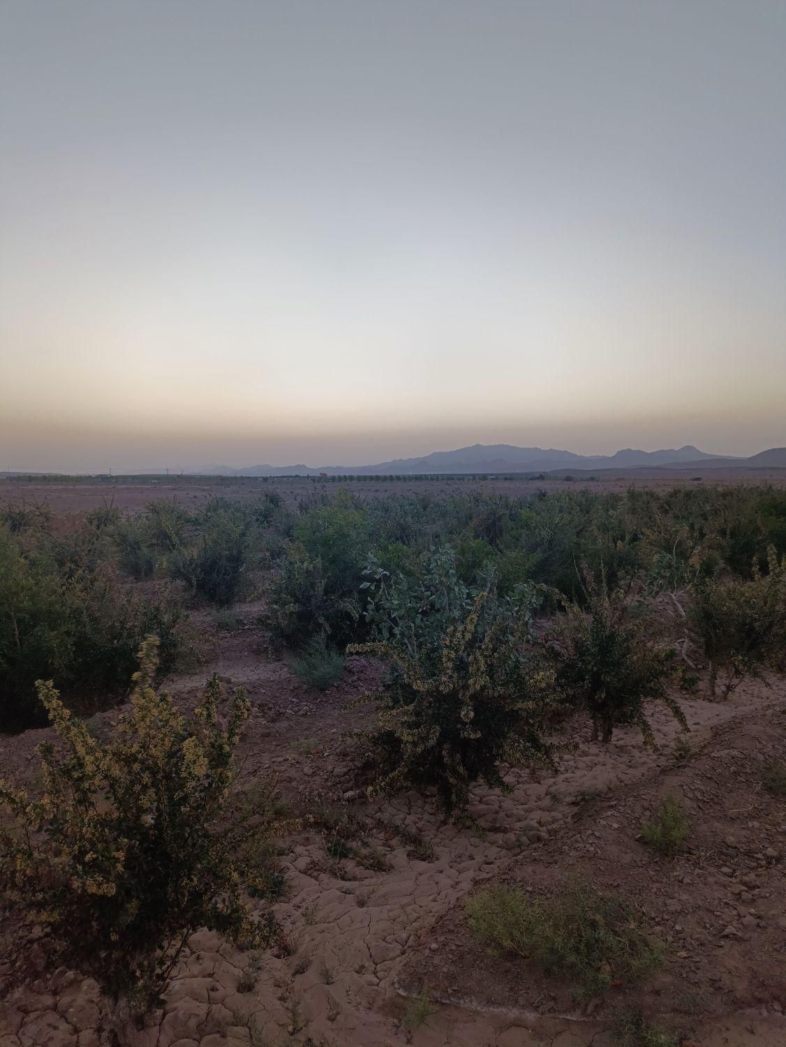 تصویر 3