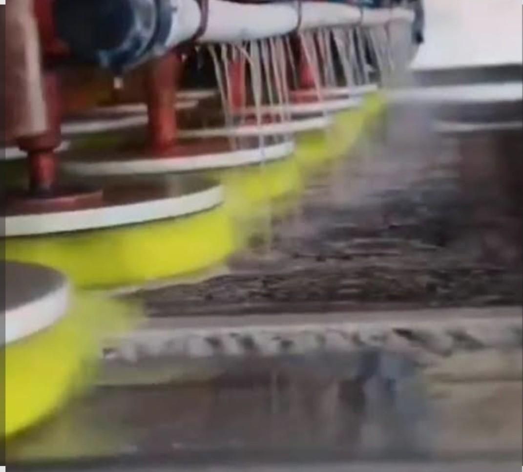 قالیشویی مجاز فردوسی|خدمات نظافت|کرج, ساسانی (قلمستان)|دیوار