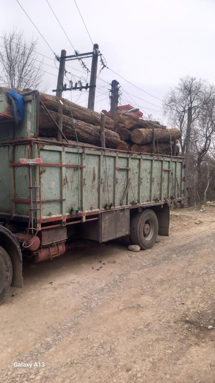 خرید چوب جنگلی و صنوبر در باغ|خدمات باغبانی و درختکاری|لاهیجان, آهندان|دیوار