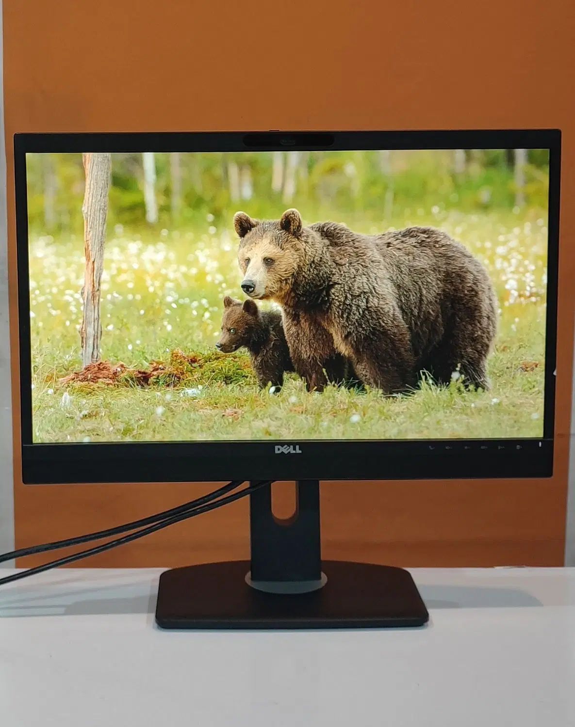 مانیتور ۲۴ اینچ دل DELL اسپیکردار وبکم دار ipsوled|قطعات و لوازم جانبی رایانه|مشهد, ولیعصر (شهرک غرب)|دیوار