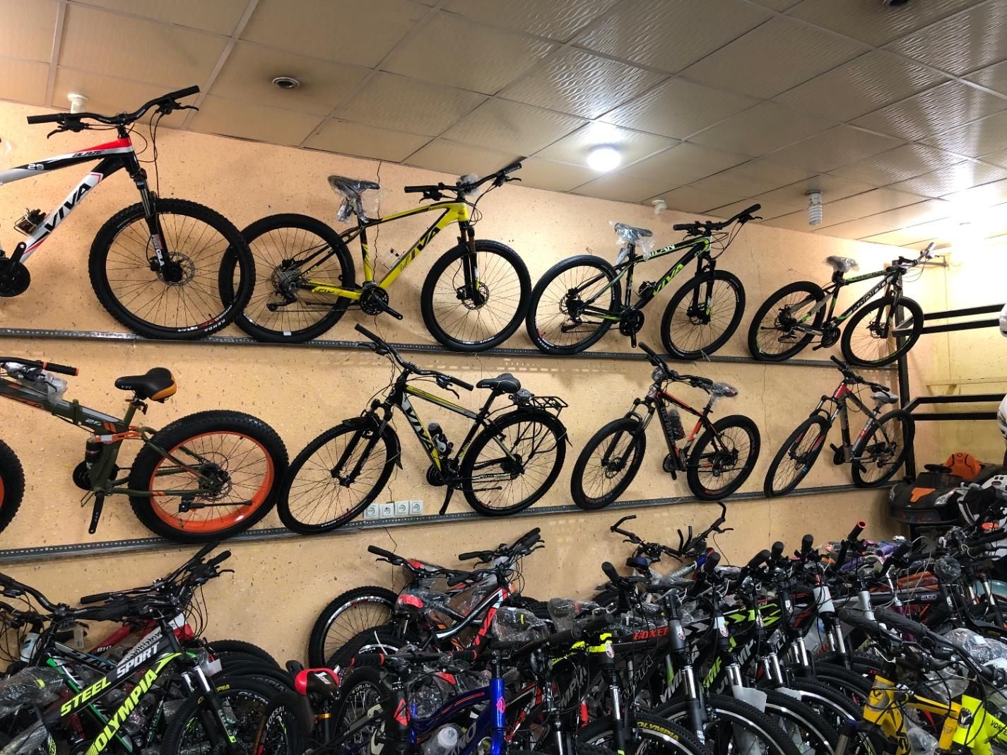 فروش انواع دوچرخه بیش از ۱۰۰ مدل|دوچرخه، اسکیت، اسکوتر|بوشهر, |دیوار