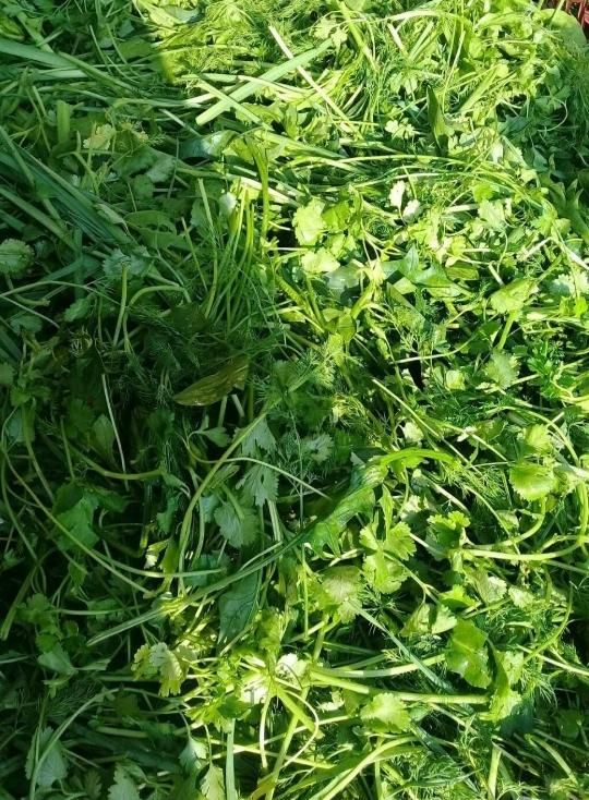 سبزی تازه|خوردنی و آشامیدنی|مسجد سلیمان, |دیوار